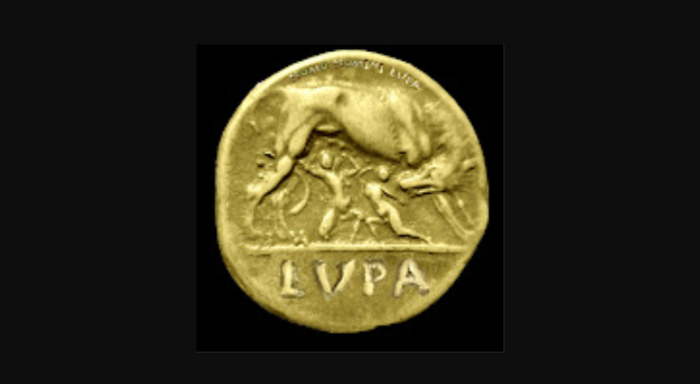 Tento obrázek nemá vyplněný atribut alt; název souboru je lupa-1-700x384.png.